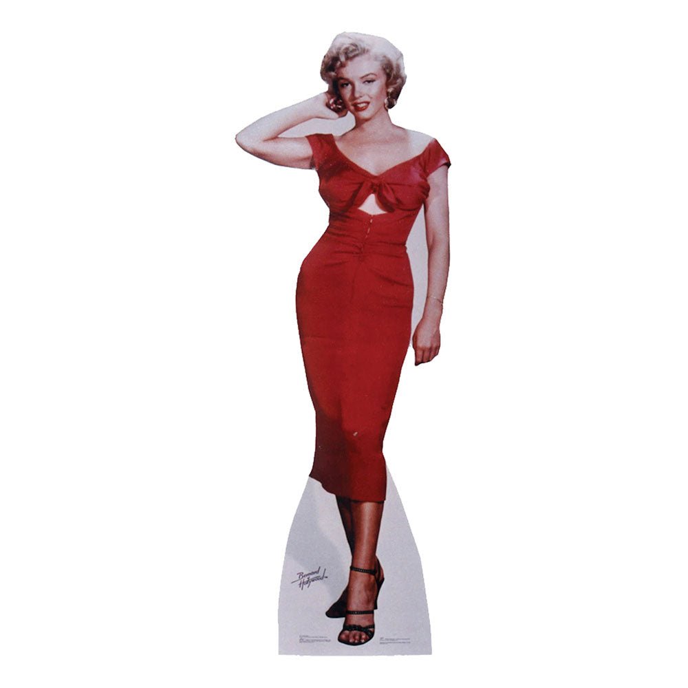 MARILYN MONROE マリリンモンロー - Niagara / スタンドアップ - PGS